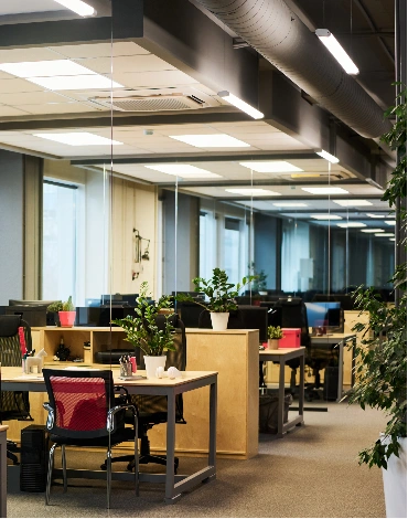 Professional modern office space renovation.