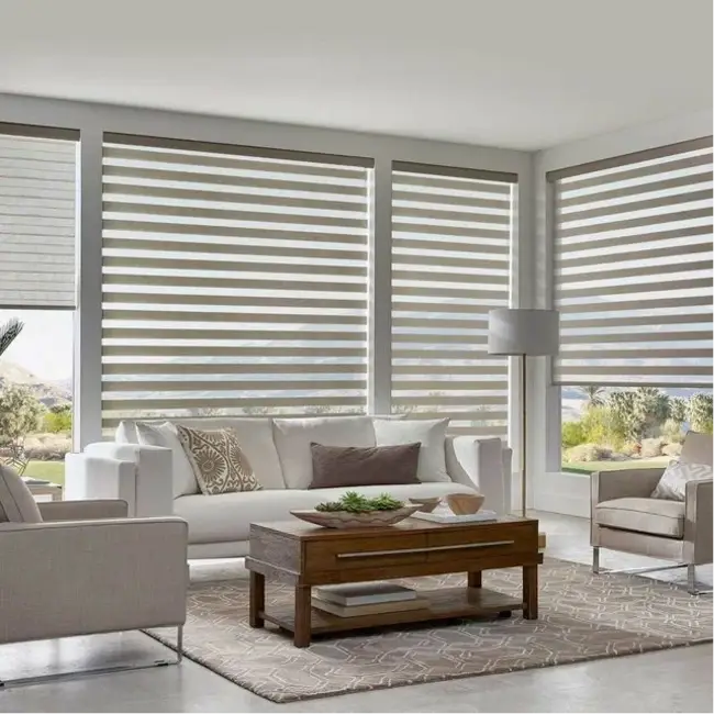 Living Room Blinds
