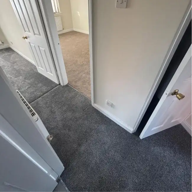 Contemporary Luxury Carpets