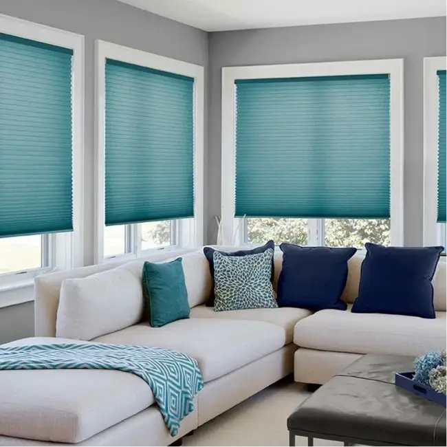 Home Window Blinds