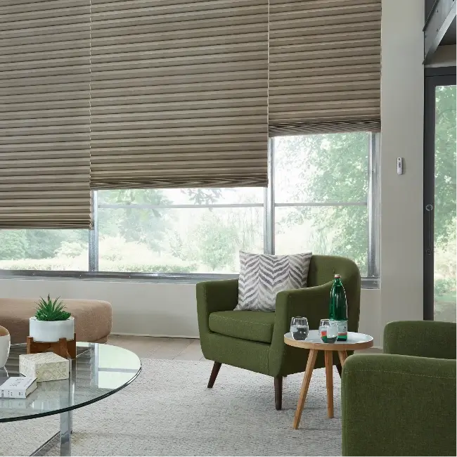 Modern Style Blinds