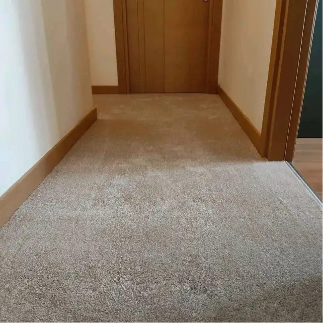 Modern Carpets
