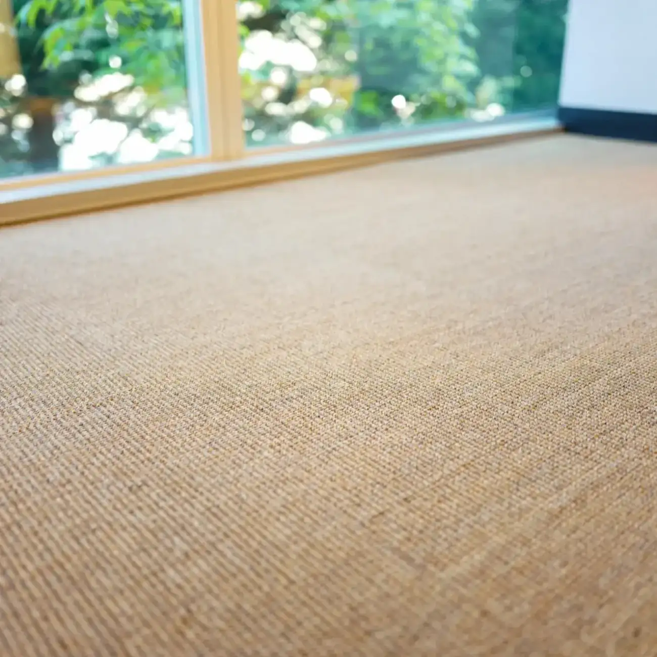 Modern Sisal Carpets