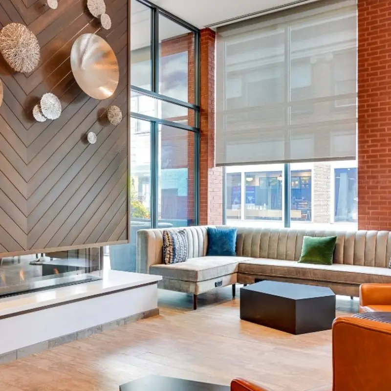 Professional Renovation