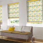 Romex blinds for windows