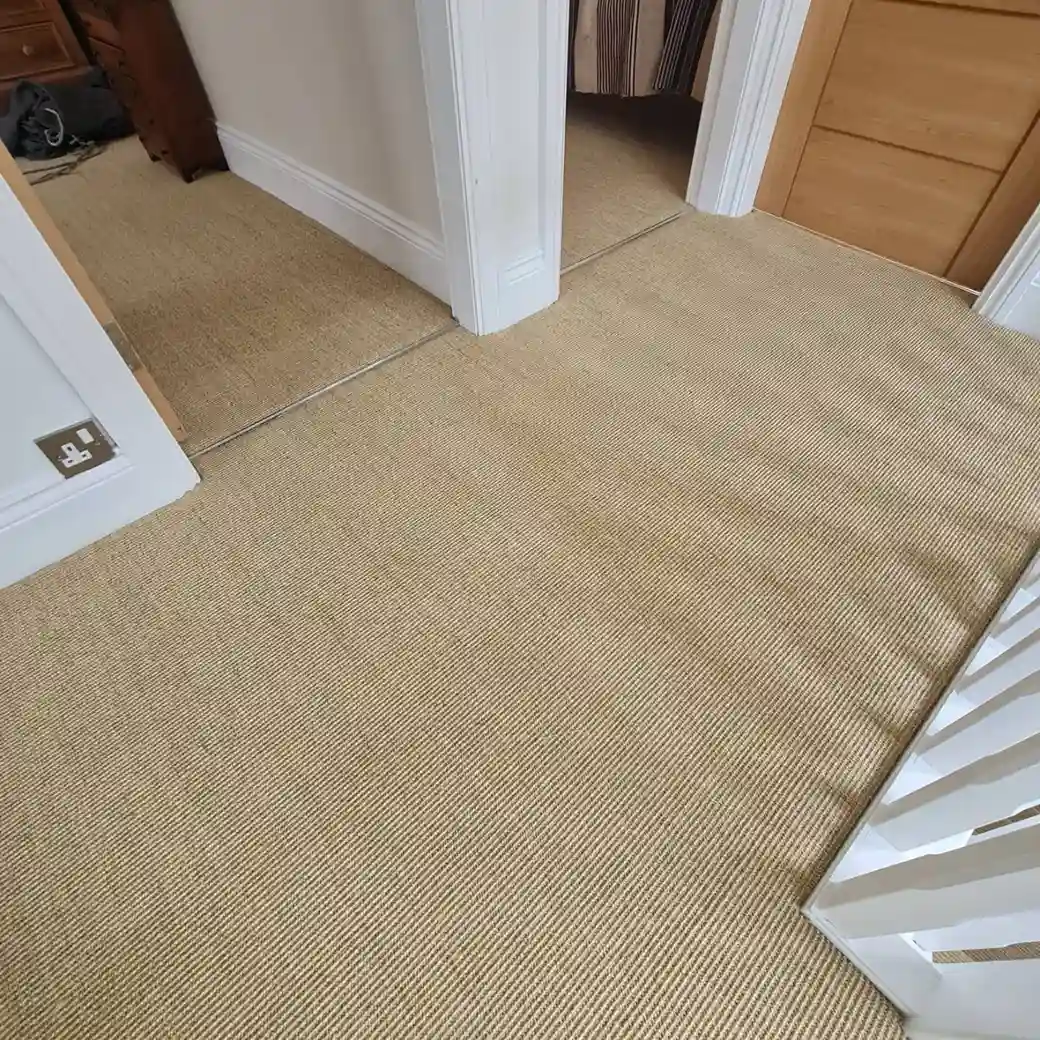 Stylish Sisal Carpets