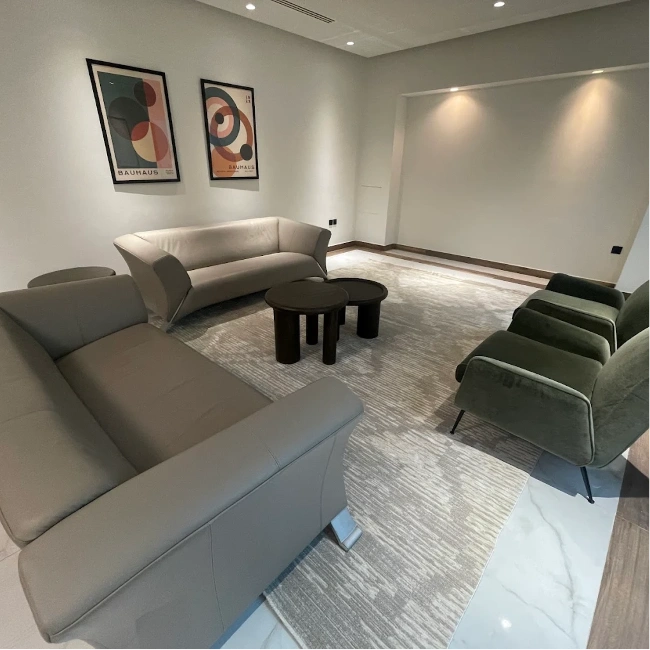 Luxury living room rug